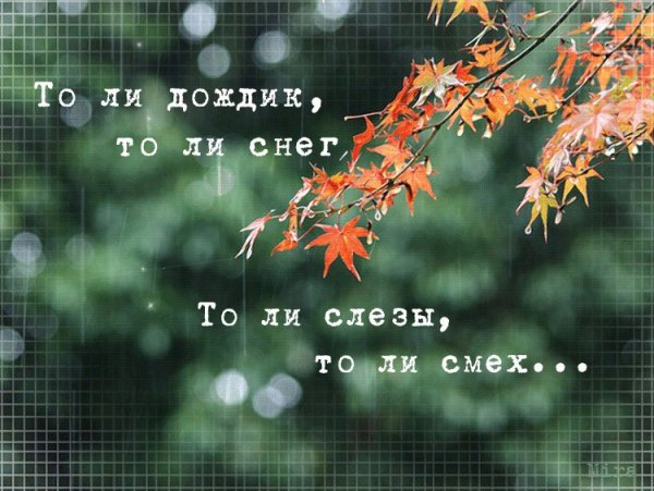 Цитаты про осень