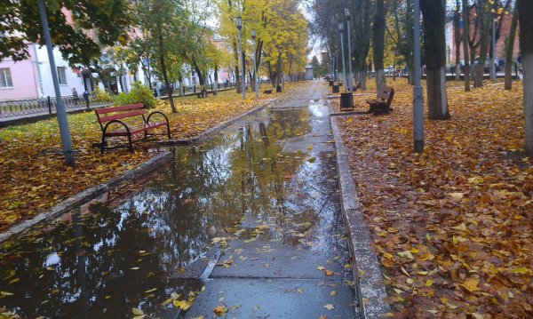 Осень дождь лужи