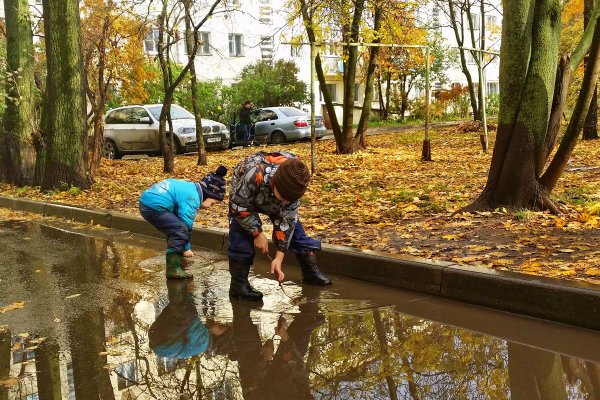 Лужа в парке