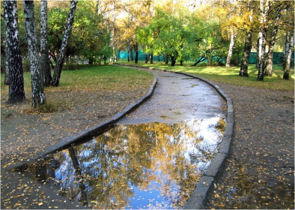Лужа в парке