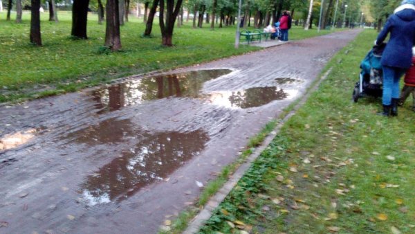 Лужа в парке