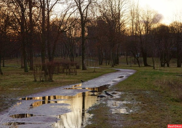 Парк ручейй Марьинский ручей