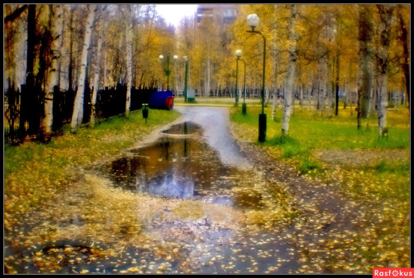 Осенняя аллея с лужами