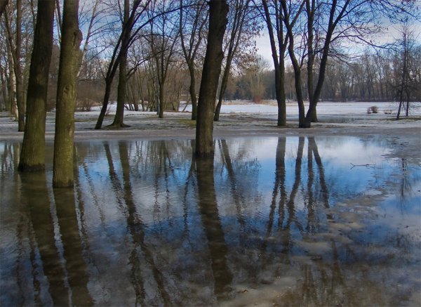 Весна лужи