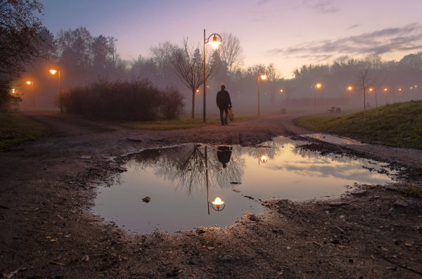 Красивое отражение в луже