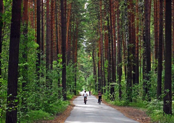 Город Новосибирск Заельцовский парк