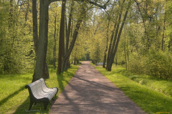 Парк Архангельское скамейка