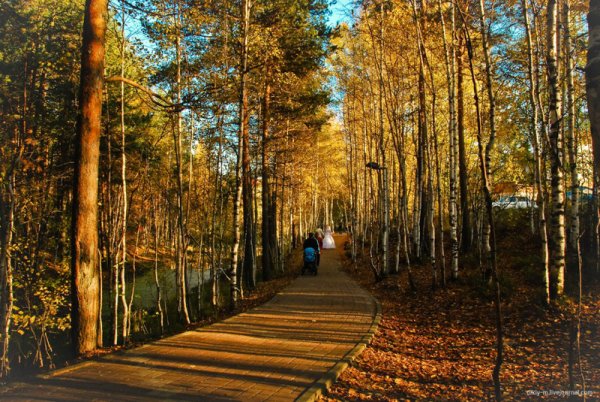 Парк Сайма Сургут