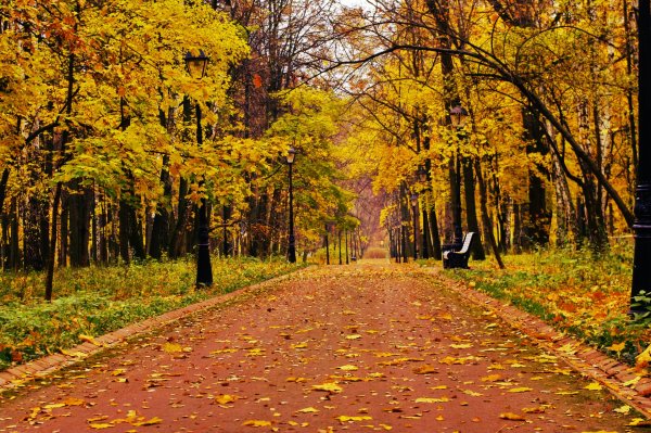 Парк осенью