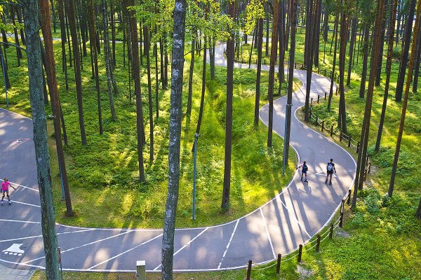 Лесной парк Дзинтари