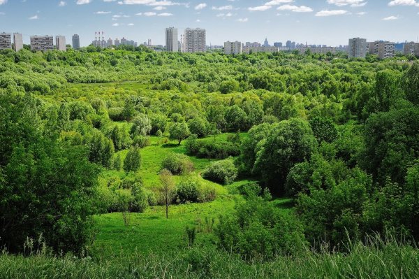 Северное Тушино Сходненский ковш