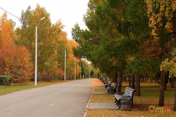 Осенний парк Победы в Омске