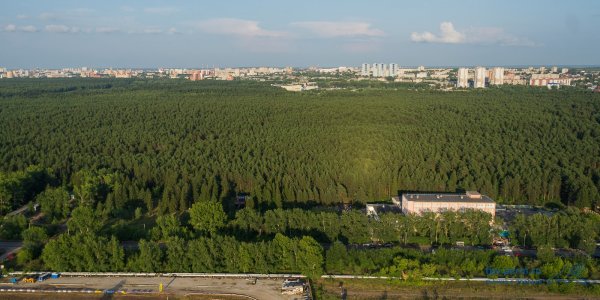 Черняевский лесопарк Пермь