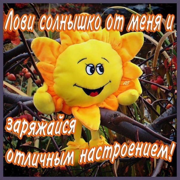 Хорошего солнечного дня и отличного настроения