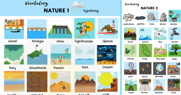 Природа на английском для детей