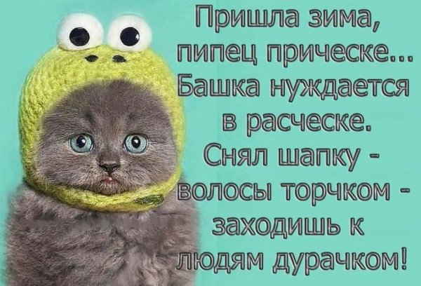 Котик в шапке лягушки
