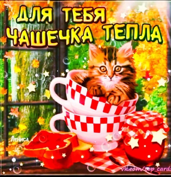 Чашечка тепла для тебя