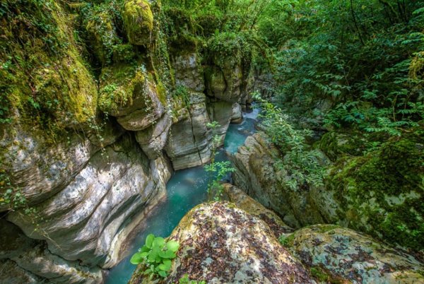 Самшитовое ущелье Лазаревское