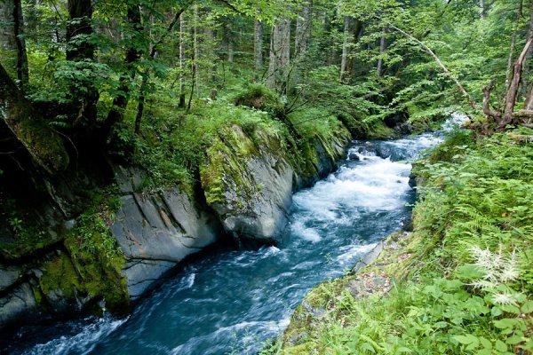 Сочинский национальный парк Мзымта