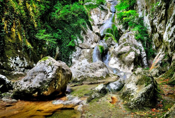 Сочинский национальный парк, г. Сочи