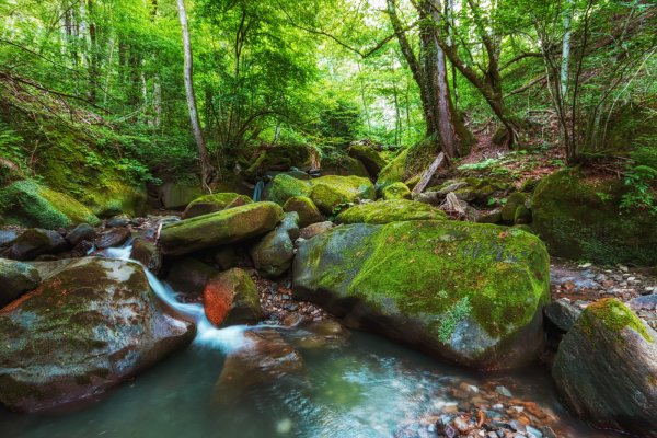 Лазаревское Сочи Свирское ущелье