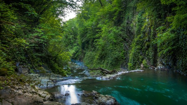 Река Мацеста в Сочи