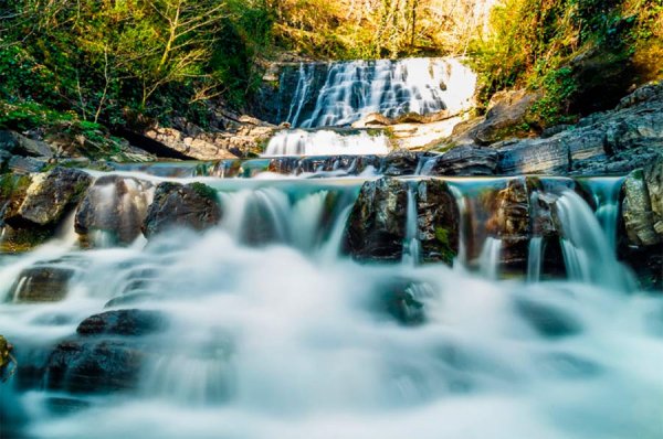 Сочинский национальный парк климат