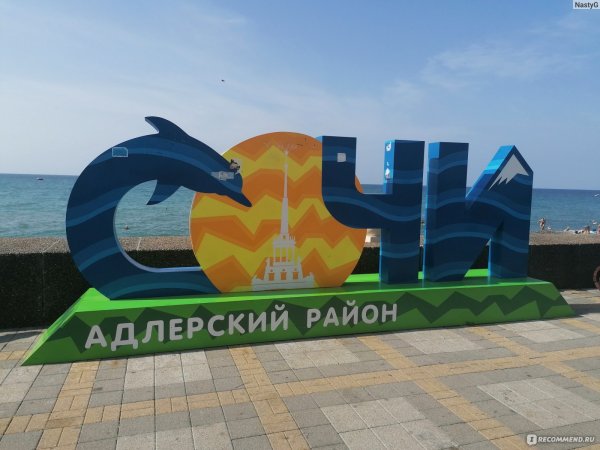 Море Адлер Чайка