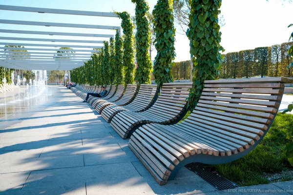 Парке Галицкого Краснодар