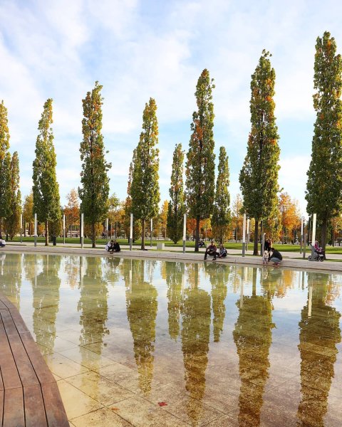 Голицын парк Краснодар