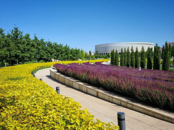 Парк Галицкого в Краснодаре площадь парка