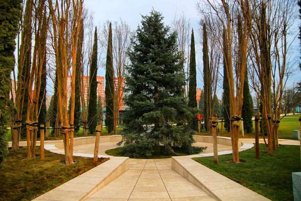 Голицын парк Краснодар деревья