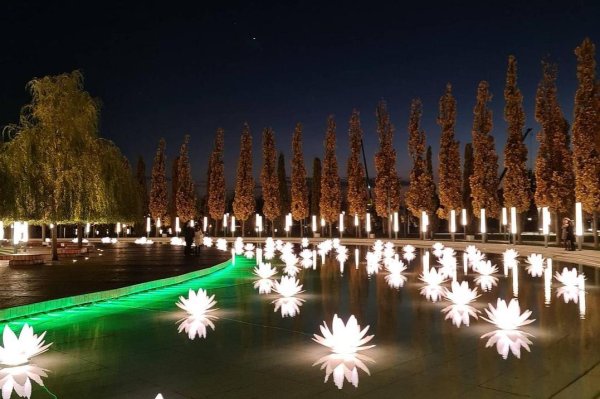 Парк Галицкого в Краснодаре зимой