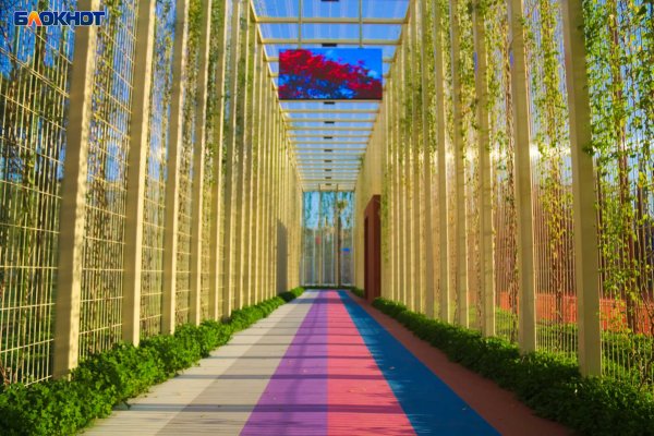 Парк Галицкого в Краснодаре детская площадка