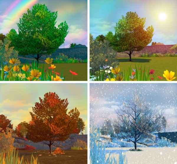 Пейзаж в Разное время года