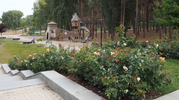 Город Воронеж парк Алые паруса