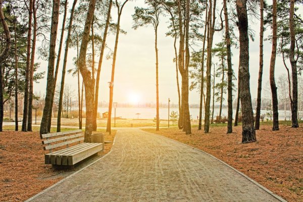 Парк Алые паруса в Воронеже освещенность