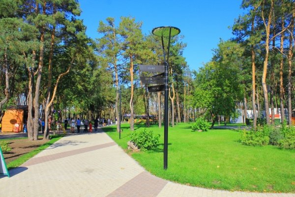 Город Воронеж парк Алые паруса