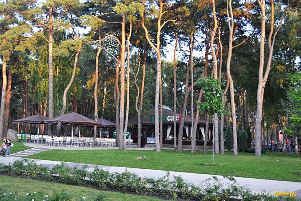 Алые паруса Воронеж