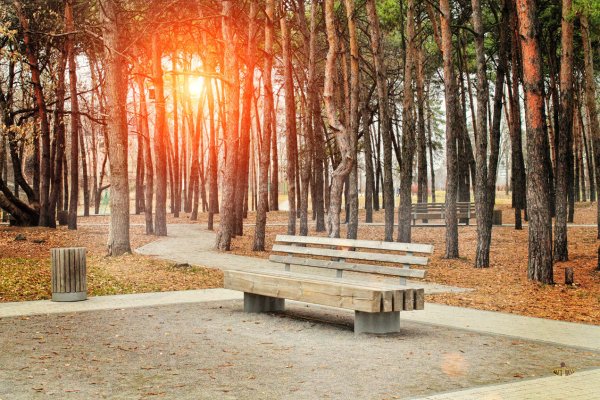 Парк Алые паруса Воронеж