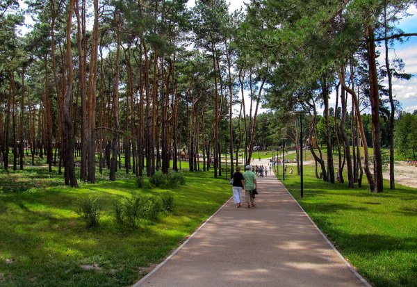 Город Воронеж парк Алые паруса