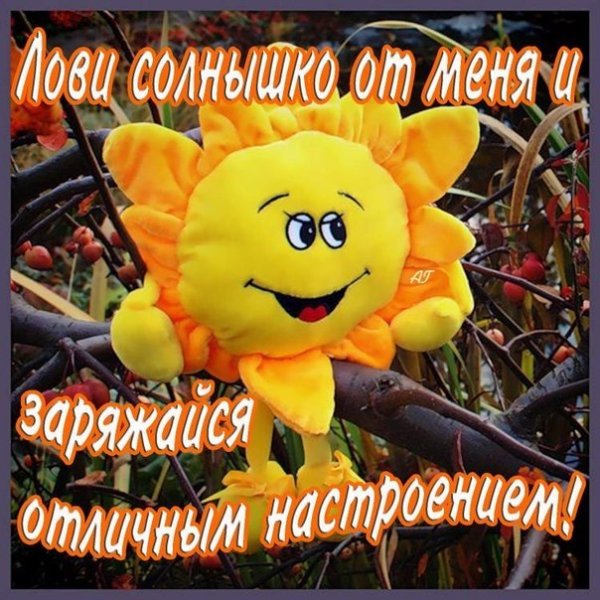 Хорошего солнечного дня и отличного настроения