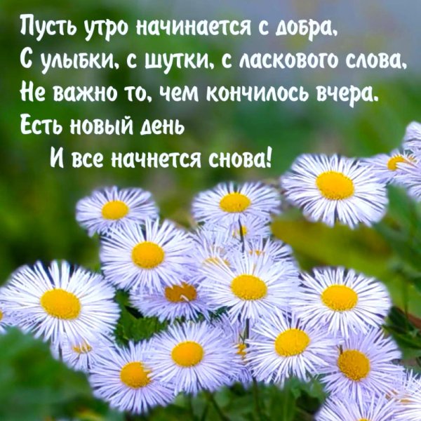 Пожелания доброго утра