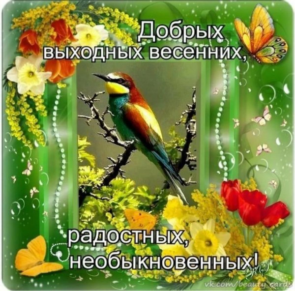 Прекрасных выходных Весна