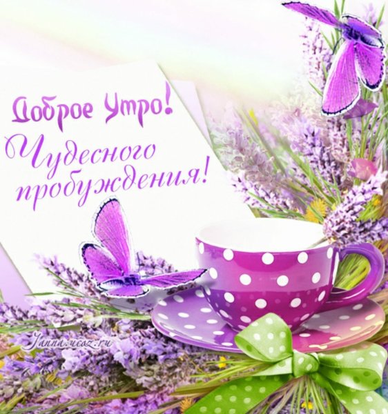Пожелания доброго утра