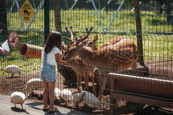 Сафари парк Краснодар