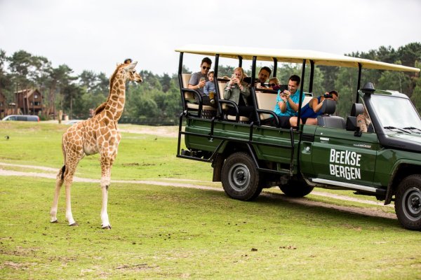 Dubai Safari Park в Дубае