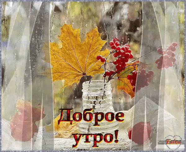С добрым осенним дождливым утром