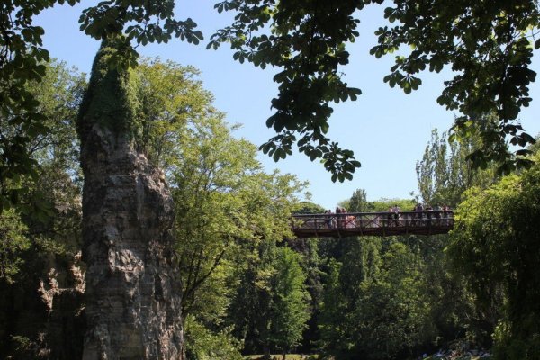 БЮТ Шомон Лиственная софора