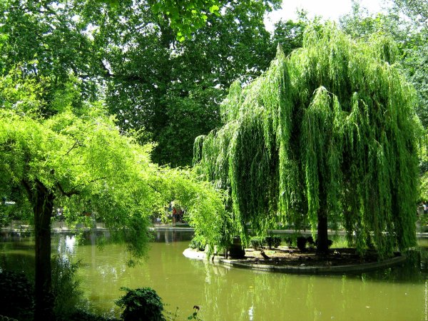 Парк БЮТ-Шомон в Париже